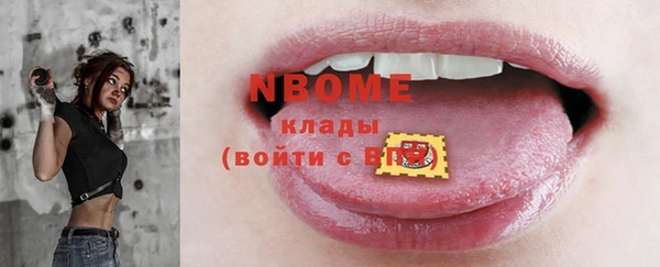 твердый Няндома
