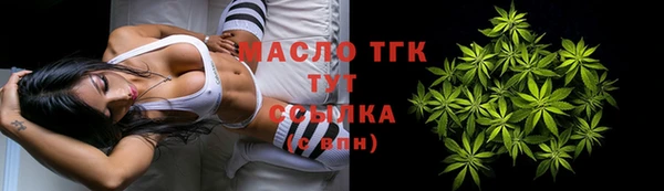 твердый Няндома