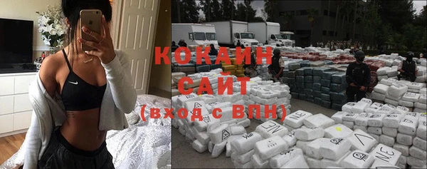 винт Осташков