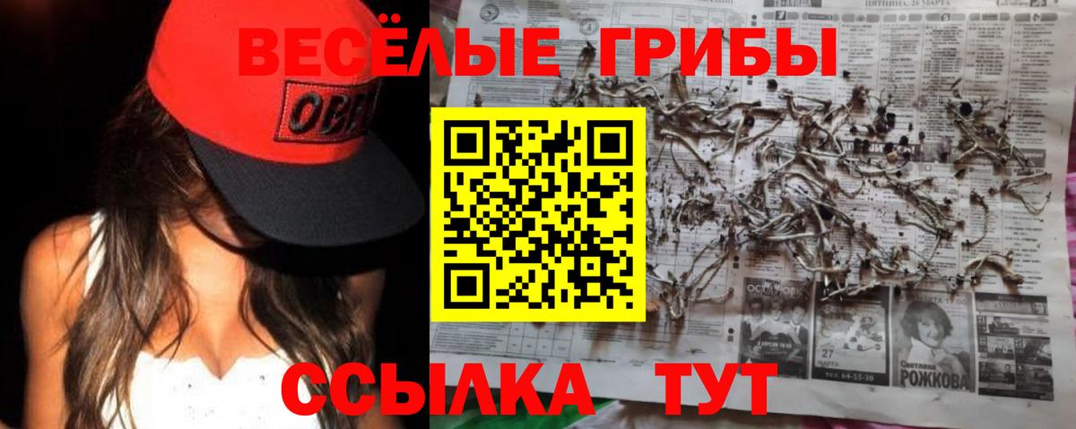 Галлюциногенные грибы мицелий  Вход с VPN  Псилоцибиновые грибы мицелий  Шарыпово 